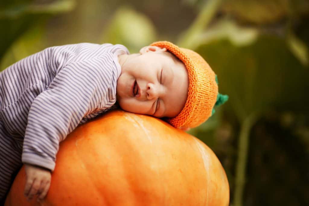 Baby Sleeping Pumpkin Small 1